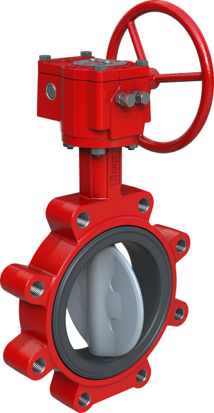 Vanne à papillon élastomère BRAY S31 3L